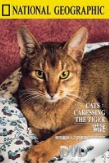  de Filme Gatos – Acariciando o Tigre (1991)