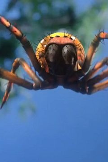 Poster de Episódio Venom (2020)
