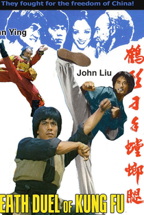 Death Duel Of Kung Fu - Poster / Capa / Cartaz - Oficial 1