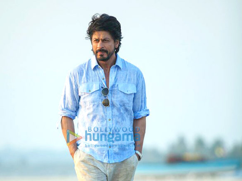 Foto 9 de Querida Vida