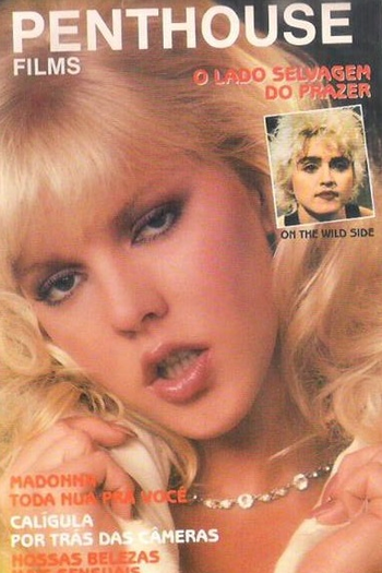 Poster de Filme O Lado Selvagem do Prazer (1989)