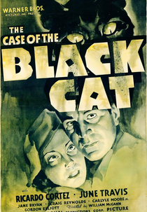 O Caso do Gato Preto (The Case of the Black Cat)