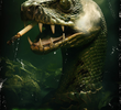 Ssssstoner Snake