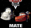 Mate Lunático