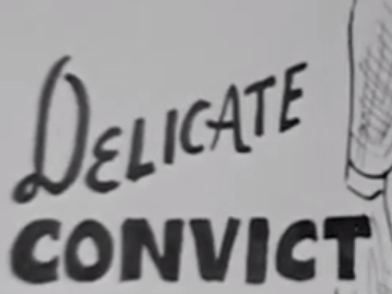 Foto 1 de Delicate Convict