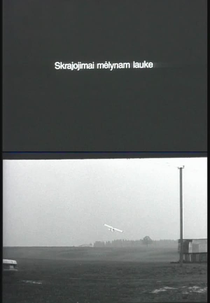 Skrajojimai melynam lauke (Skrajojimai melynam lauke)