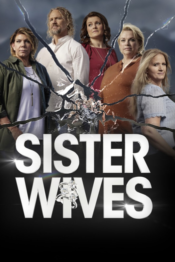 Poster de Franquia Sister Wives (2010)