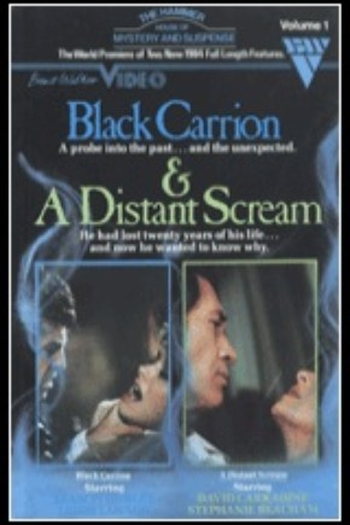 Poster de Filme A Distant Scream (1984)
