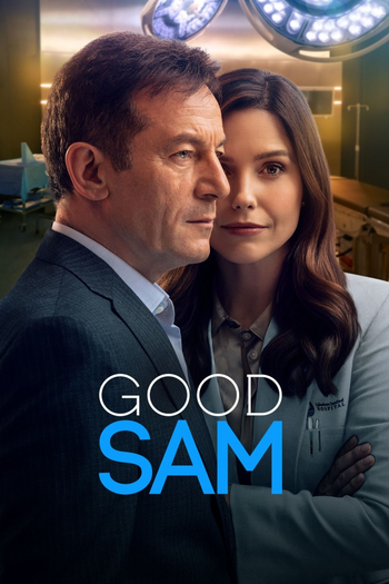 Poster de Franquia Good Sam (2022)