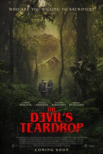 The Devil's Teardrop - Poster / Capa / Cartaz - Oficial 1