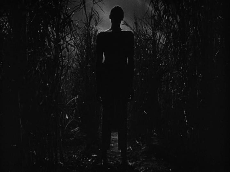 Foto 5 de A Morta-Viva