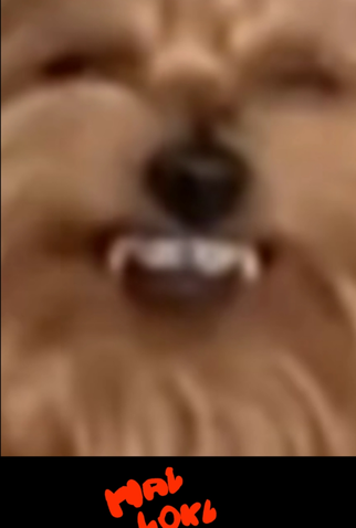 Poster 1 de Série HalloKlebs - 2024 (2024)