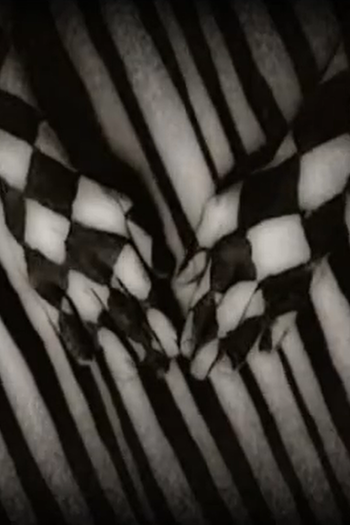 Poster de Curta Searching (2007)