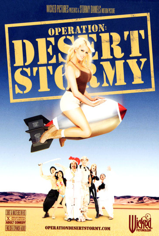 Poster 1 de Filme Operation: Desert Stormy (2007)