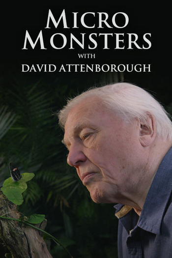 de Série O Micromundo dos Artrópodes (2013)