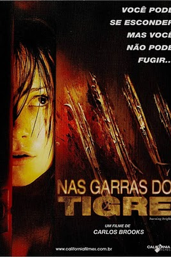  de Filme Nas Garras do Tigre (2010)