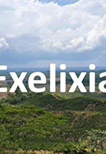 Exelixia (Exelixia)