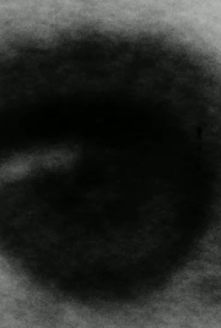 Poster 1 de Curta Daisy (1964)