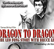 Dragon to Dragon