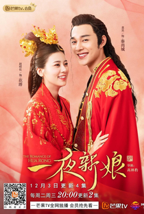 The Romance of Hua Rong (1ª Temporada) - Poster / Capa / Cartaz - Oficial 3