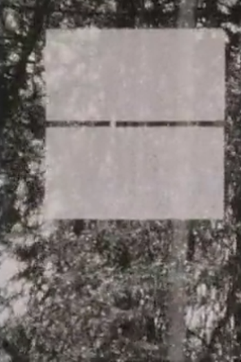 Poster de Curta Common Air (1984)