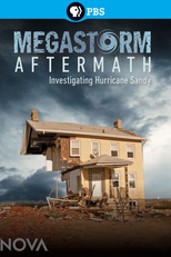 Megastorm Aftermath (Megastorm Aftermath)