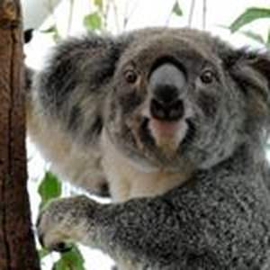 Foto de perfil de Sandro A.