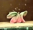 Serpentine Dance: Loïe Fuller
