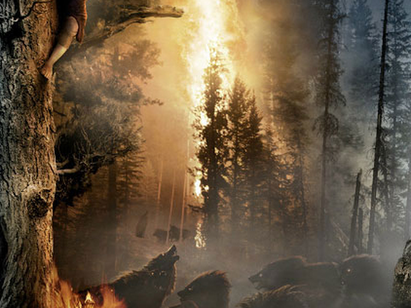 Foto 17 de O Hobbit: Uma Jornada Inesperada