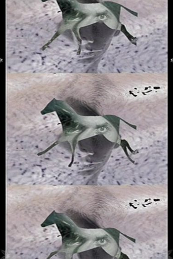 Poster de Curta Third Reality 2 (1996)