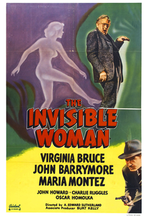 A Mulher Invisível - Poster / Capa / Cartaz - Oficial 1