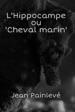 L'hippocampe, ou 'Cheval marin' (L'hippocampe, ou 'Cheval marin')