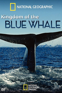O Reino da Baleia Azul - Poster / Capa / Cartaz - Oficial 1