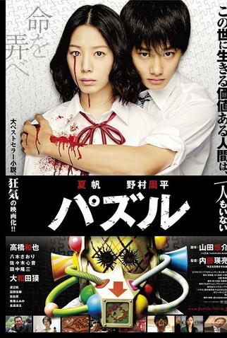 Poster 1 de Filme Puzzle (2014)