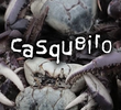 Casqueiro