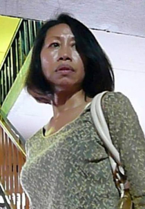 Madame Butterfly (Hu Die Fu Ren)