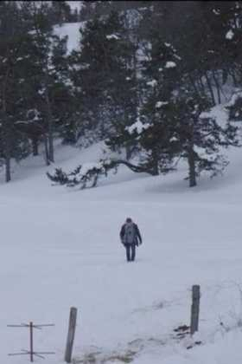 Poster de Curta Je Vais là-bas Aussi (2019)