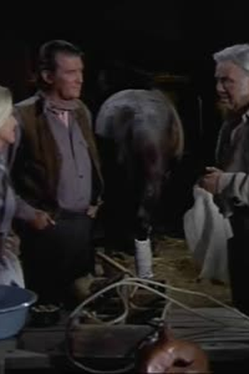 Poster de Episódio The Saddle Stiff (1972)