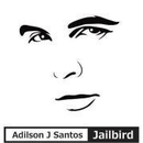 Adilson J Santos