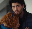 Final Meselesi