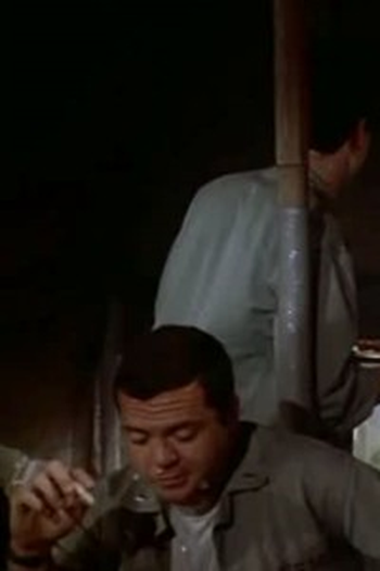 Poster de Episódio WASPS (1977)