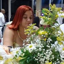 Foto de perfil de AnaLú