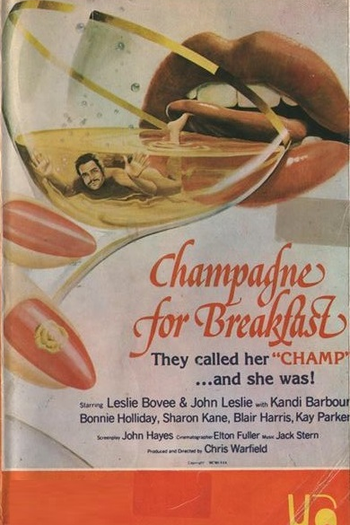 Poster de Filme Champanhe pela Manhã (1980)