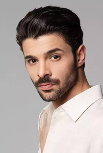 Halit Özgür Sari - Poster 1