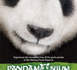 Pandamonium (2008)