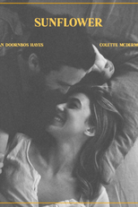 Sunflower (Sunflower)