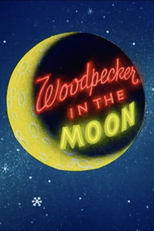 Pica-Pau na Lua (Woodpecker in the Moon)