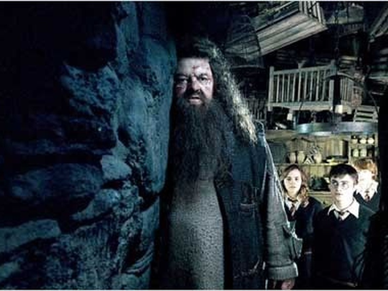 Foto 12 de Harry Potter e a Ordem da Fênix