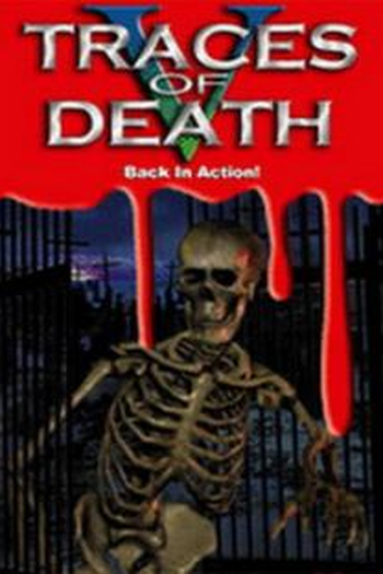 Poster de Filme Traços da Morte V (2000)