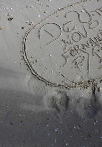 De um Novo Fernando para o Brasil (De um Novo Fernando para o Brasil)